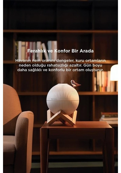 Premium H13 Kuş Figürlü Ahşap Standlı Hava Ofis Oda Kreş