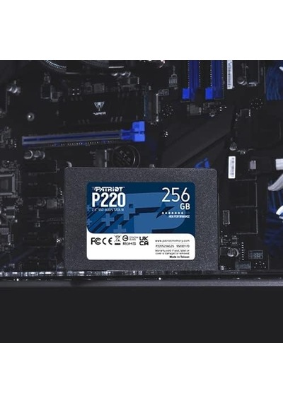 P220 Dahili Solid State Drive 256gb Ssd Sata 3 2,5 İnç Standart