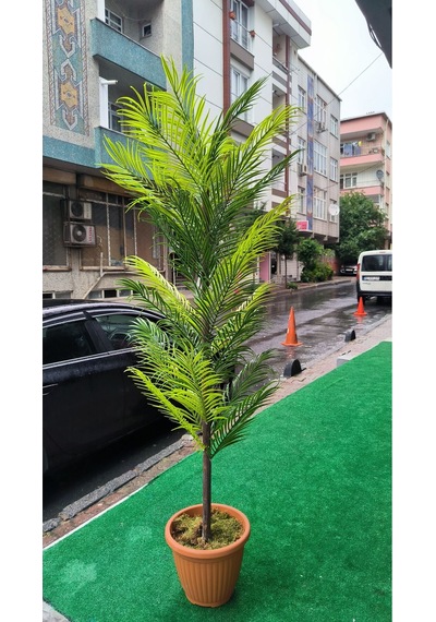Rüzgar Yapay Çiçekçilik Areka Palmiyesi 150 Cm Yesil