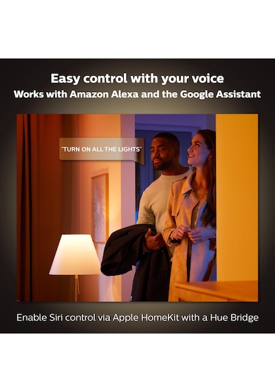 Philips Hue Iris - Copper (Special Edition)