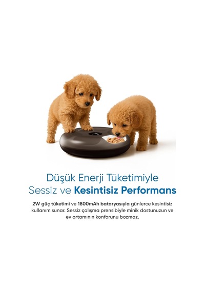 Tr Şımart 6 Hazneli Akıllı Mama Kabı, Yaş Mama Uyumlu Ve Buz Paketli