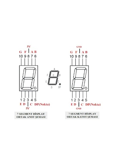 7 Segment Display N11.1304