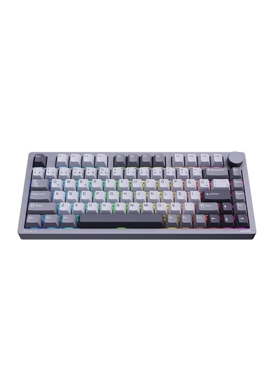 Philips Evnia Spk8618dtrh Mekanik Hot Swap Switch Rgb Kablosuz Gri Klavye Spk8618dtrh/38