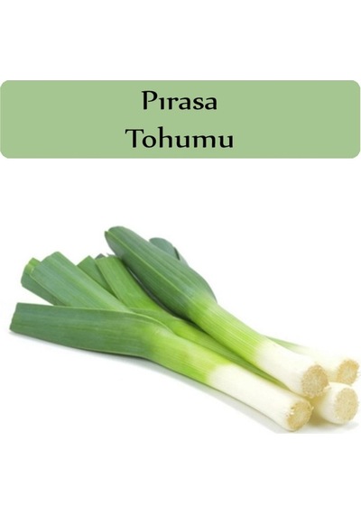 Pırasa Tohumu 1 Paket Inegöl Pırasa Tohumu Ekmeye Uygun Verimi Yüksek Inegöl Pısara Paket Tohum