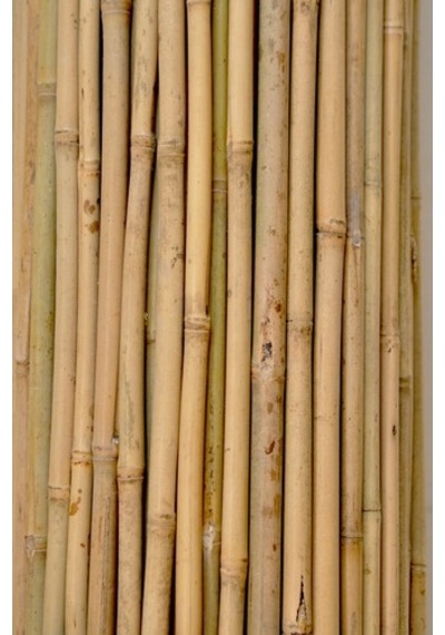 Bambu Çubuk Bitki Destek Çubuğu 10 Adet 22-24 Mm X 210 Cm