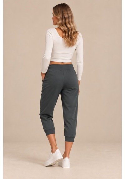 Alexandergardi Yüksek Bel Cepli Jogger Pantolon Füme