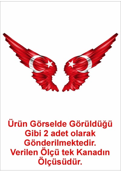 Sticker Usta Kanatlı Türk Bayrağı Sticker 00002 Renkli 8x8 Cm