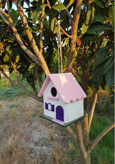El Yapımı Ahşap Kuş Yuvası Dekoratif Kuş Evi Bahçe Balkon Dekorasyon Kayın Ağacı Vernikli Pembe Beya