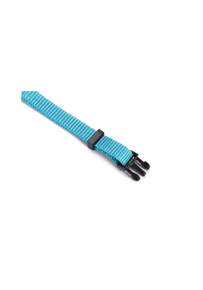 Hnrlıshp Beeztees Kedi Boyun Tasması, Zilli, Turkuaz, 20-30cm
