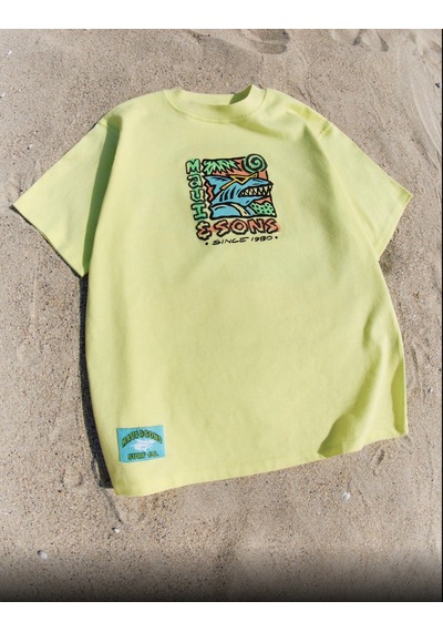 Erkek Çocuk Yeşil Mavi Renk Sırt Baskı Detaylı Tshirt - Şort 2'li Alt Üst Takım Sarı - Mavi Erkek Çocuk Yeşil Mavi Renk Sırt Baskı Detaylı Tshirt - Şort 2'li Alt Üst Takım Sarı - Mavi