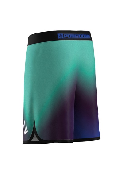 Pose I Down Aurora Veil Boardshort Erkek Fizik Ve Deniz Şortu Mavi