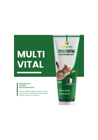 Kedi Malt Pasta 3 Effects + Multivitamin 100 Gr Zoo Vital