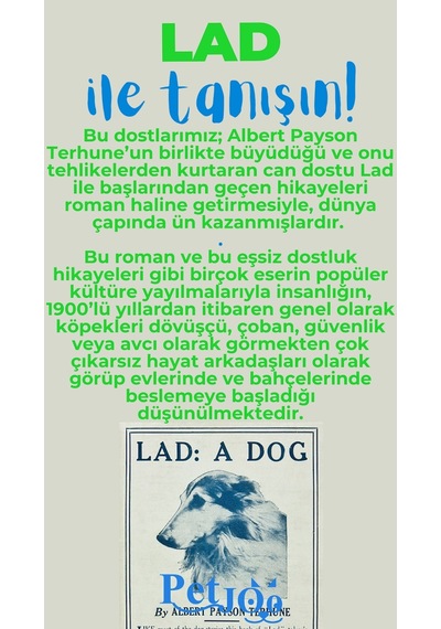 Petjoo 23.Lad Mavi-Yeşil Qr'lı Köpek Künyesi