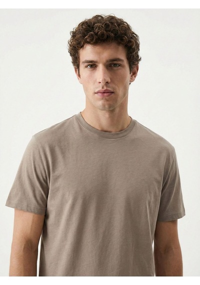 Regular Fit Erkek Tshirt K.kol Vizon