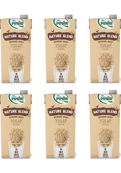 Pınar Nature Blend Bitkisel Bazlı Yulaf İçeceği 1 Lt X 6 Adet