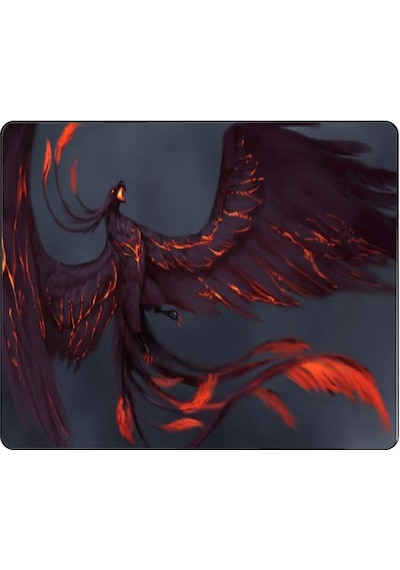 Concord Mp-305 Desenli Mouse Pad 250 X 300 X 3 Mm