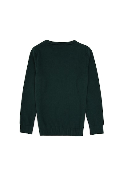 U.S. Polo Assn. Erkek Çocuk Yeşil Bisiklet Yaka Basic Kazak 50315586-VR054