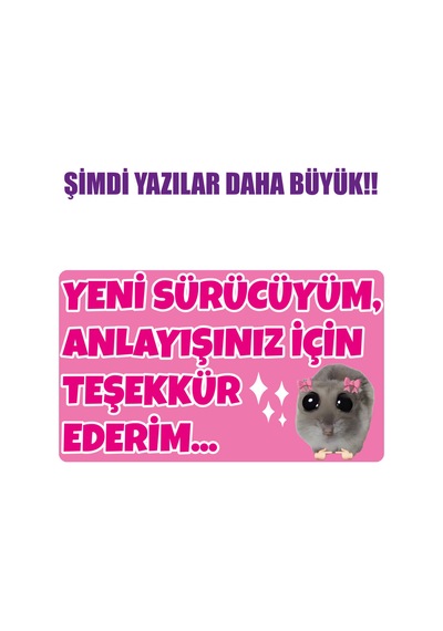 Acemi Sürücü Yeni Sürücü Sticker 22x13 Su Geçirmez Sticker Araba Etiket Sticker