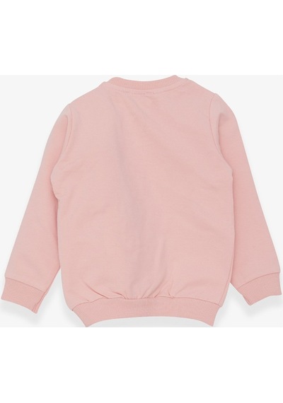 Breeze Kız Çocuk Sweatshirt Ayıcık Aksesuarlı 1.5-5 Yaş, Pudra (556838383) Çok Renkli