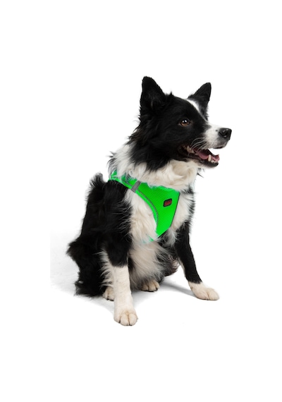 Air-Mesh Küçük ve Orta Irk Kedi Köpek Göğüs Tasması - Yumuşak, Nefes Alabilir, Dayanıklı NEON YEŞİL L