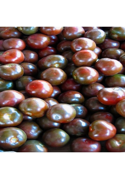 Aromalı Black Prince Domates Tohumu 15 Tohum