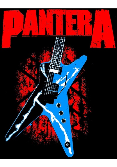 Pantera Baskılı Unisex %100 Pamuk Siyah Kapüşonlu Sweatshirt Siyah