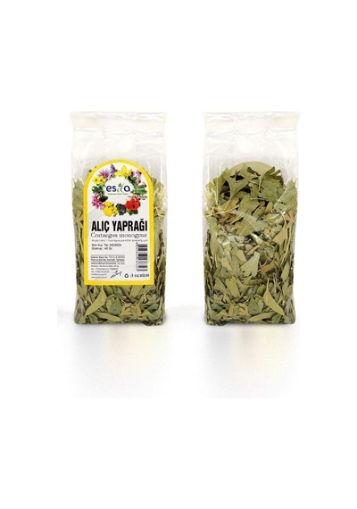 Northcity Poşet Alıç Yaprağı 40 Gr.