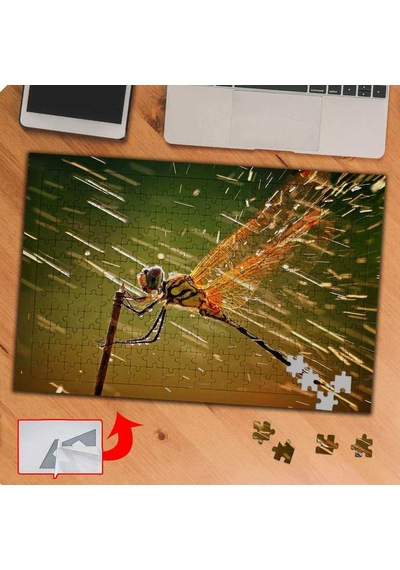 Renkli Kanatlı Uçan Sinek 240 Parça Puzzle Yapboz Tablo-p117