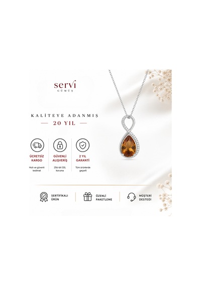 Servi 925 Ayar Gümüş Amber Damla Taşlı Sonsuzluk Kolye-307