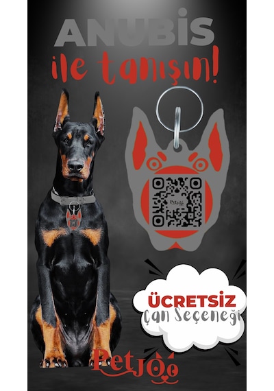 Petjoo 30.Anubis Kırmızı-Gri Qr'lı Köpek Künyesi