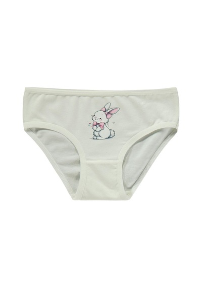 Artı Çorap Tavisan 3'lü Kız Slip Set - Standart
