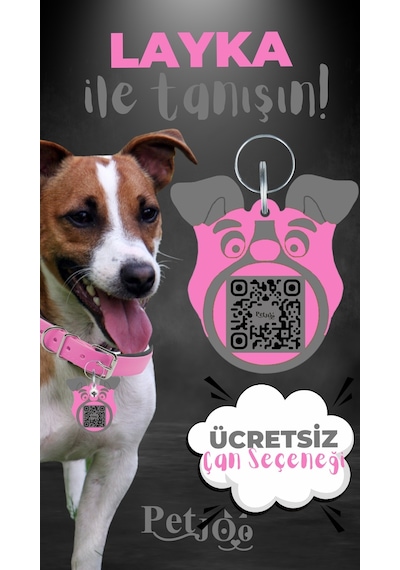 Petjoo 22.Layka Gri-Pembe Qr'lı Köpek Künyesi