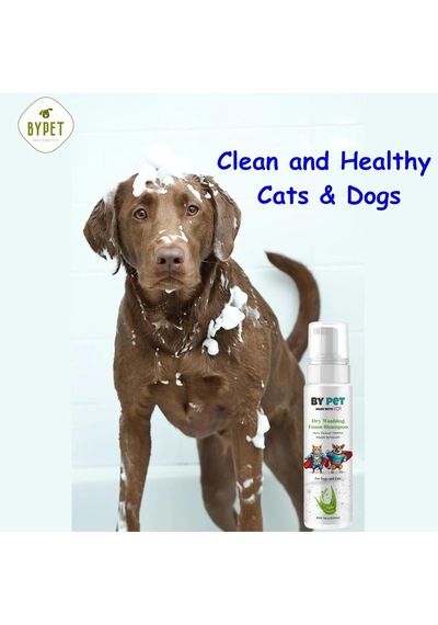 Tr Aloe Vera İçerikli Kedi Ve Köpek Kuru Yıkama Bakım Şampuanı Tüy Deri Bakım Köpüğü 200 Ml
