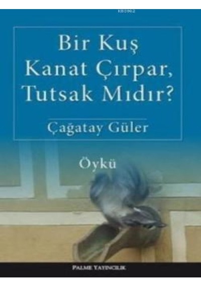 Palme Yayıncılık - Bir Kuş Kanat Çırpar, Tutsak Mıdır?-Çağatay Güler