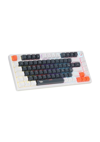 Mekanik Rgb Gaming Kablolu Klavye 81 Tuşlu Mavi Switch Hot Swap Double Shot Örgü Kablolu Oyuncu Klavyesi