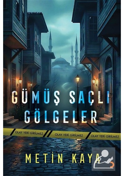 Gümüş Saçlı Gölgeler / Metin Kaya
