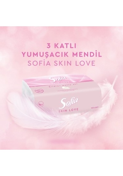 Pudra Kokulu Mendil 100'lü Paket 12 Adet