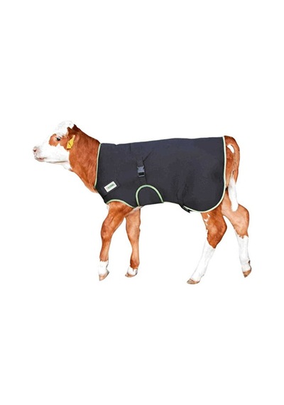 Modern Buzağı Battaniyesi Premium 70 Cm