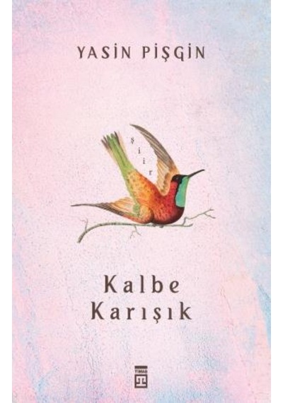 Kalbe Karışık - Yasin Pişgin