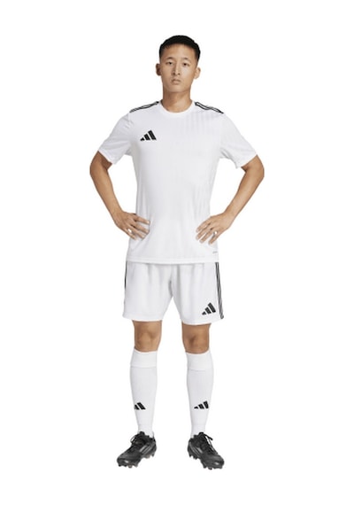 Adidas Jn7156 Tastigo25 M Erkek Spor Şort Renkli