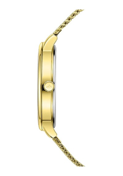 Roche Montre Rmg6002-07 Erkek Kol Saati Altın