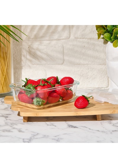 Freshlockk Dikdörtgen Saklama Kabı - Şeffaf - 600 Ml Çok Renkli