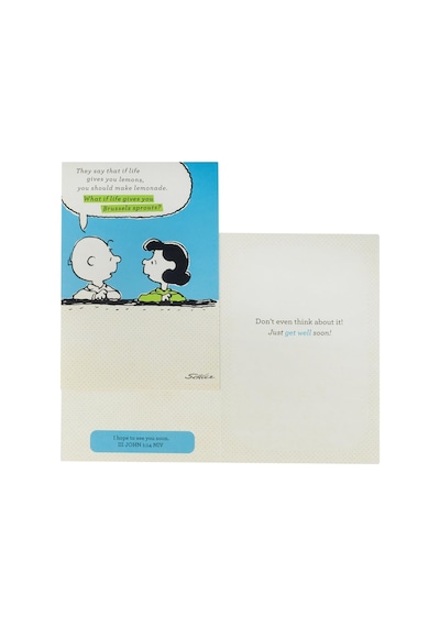 Dayspring Tebrik Kartları İyi Geçmiş Olsun, Ekru Renkli Zarflarla Kabartmalı, 12 Adet, Peanuts 77553