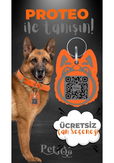 Petjoo 24.Proteo Gri-Turuncu Qr'lı Köpek Künyesi