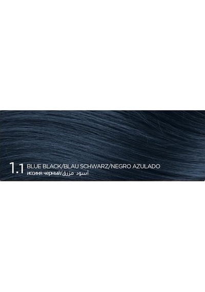Sea Colorist Set Saç Boyası 1.1 Gece Mavisi Nıght Blue