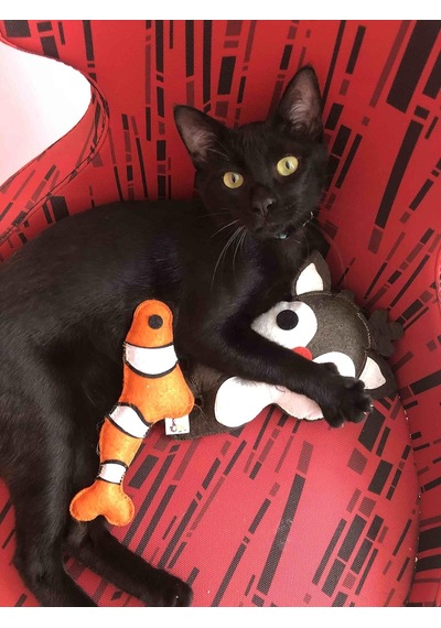 Dino Geyik 28 Cm Catnip + Kedi Zili