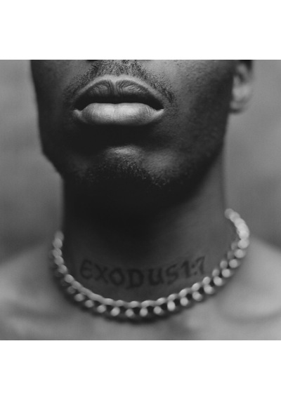 Dmx - Exodus Plak