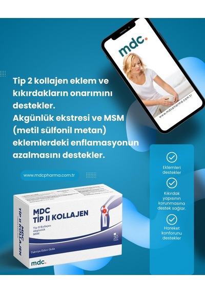 Tr Tip Iı Kolajen Msm Boswellia 30 Tablet
