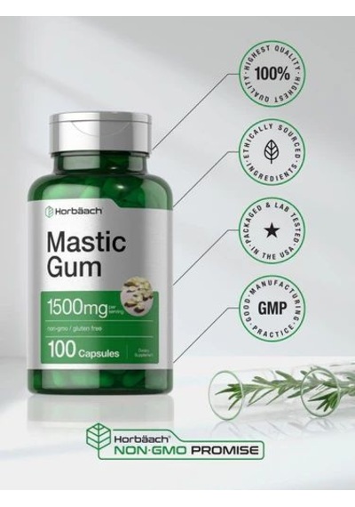 Mastic Gum 1500mg 100 Kapsül