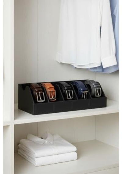Düzenleyici Organizer Diğer